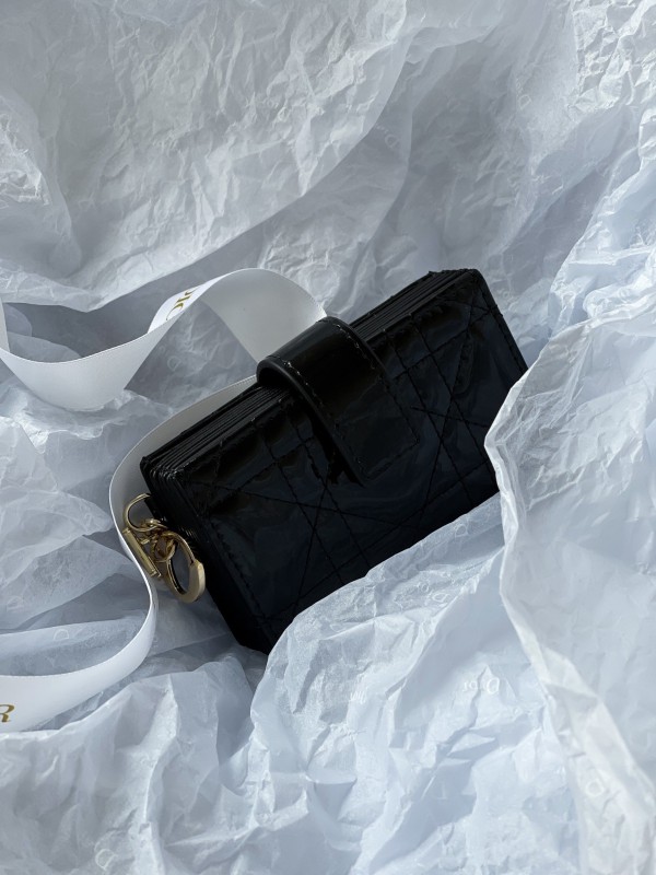 Dior 007 1