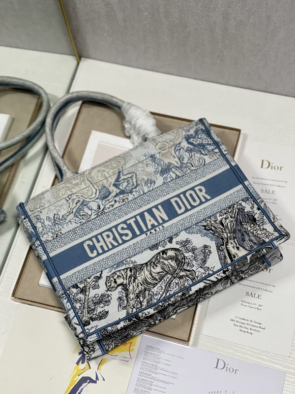 Dior 204 1