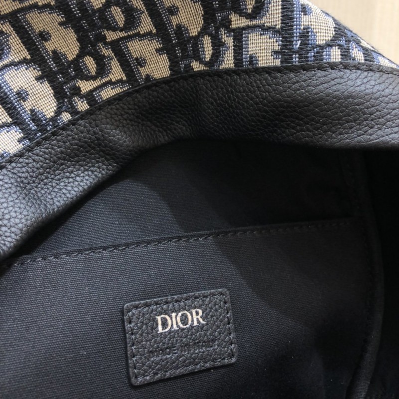 Dior 231 1