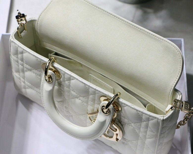 Dior 250 1