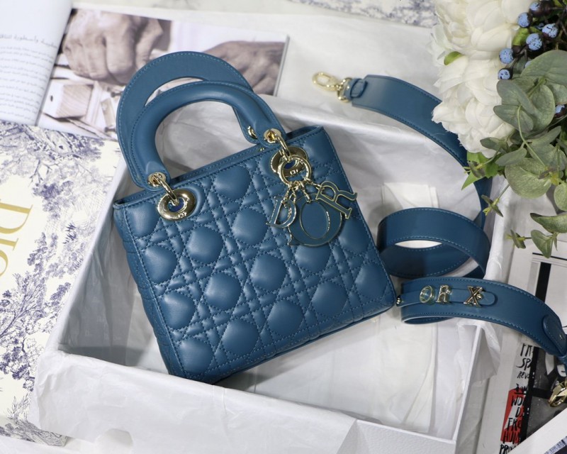 Dior 254 1