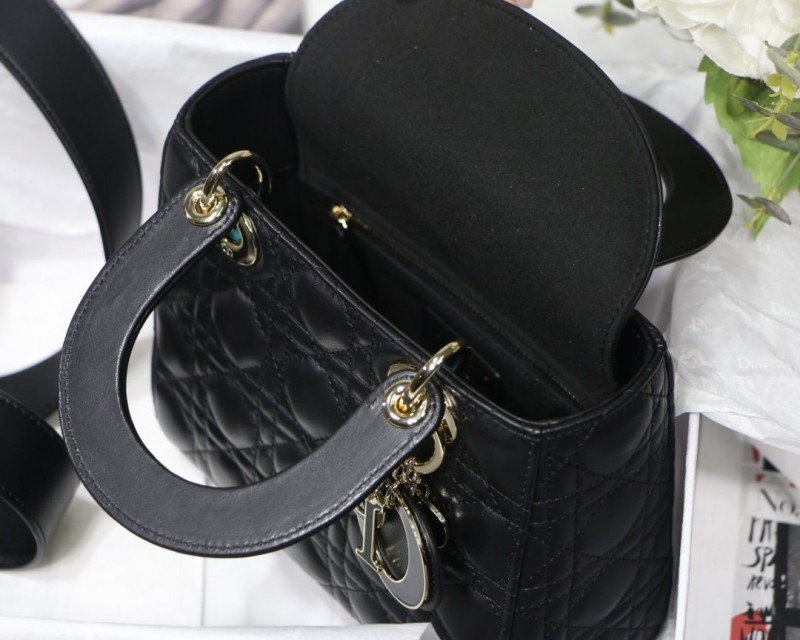 Dior 256 1