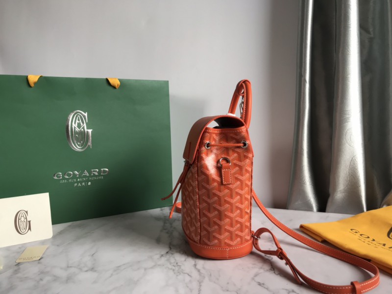Goyard 096 1