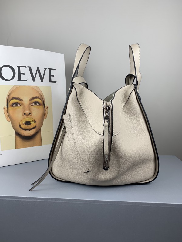 Loewe 263 1