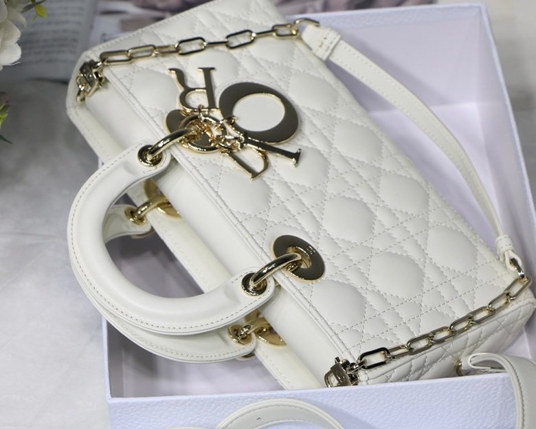 Dior 250 2