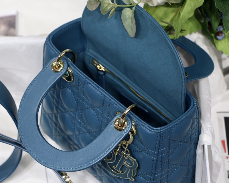 Dior 254 2