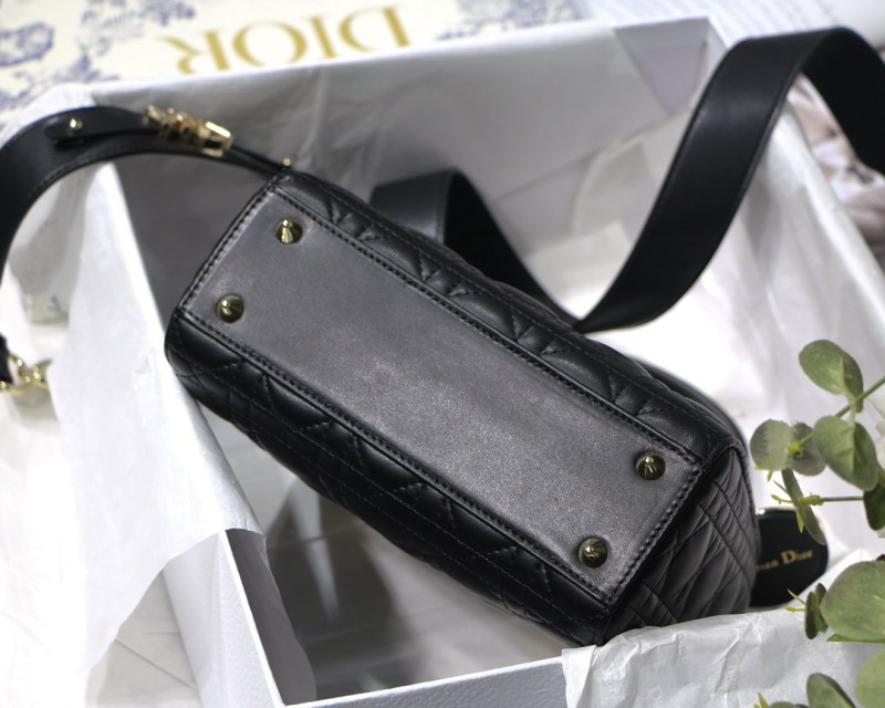 Dior 256 2