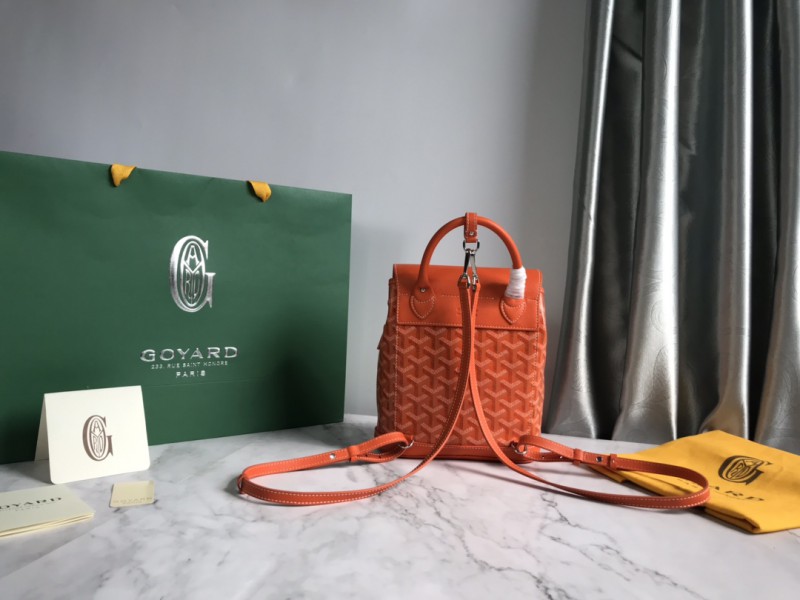 Goyard 096 2