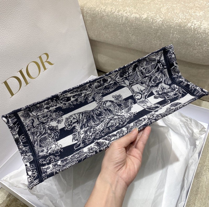 Dior 203 3