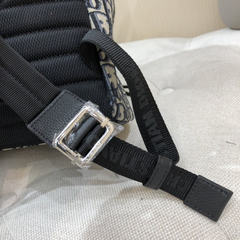 Dior 231 3
