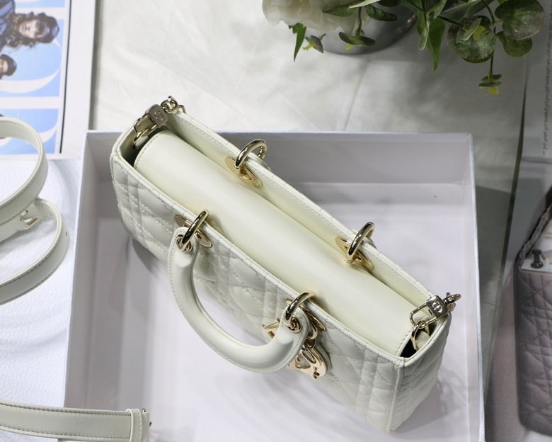 Dior 250 3