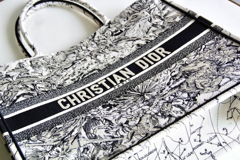 Dior 213 4