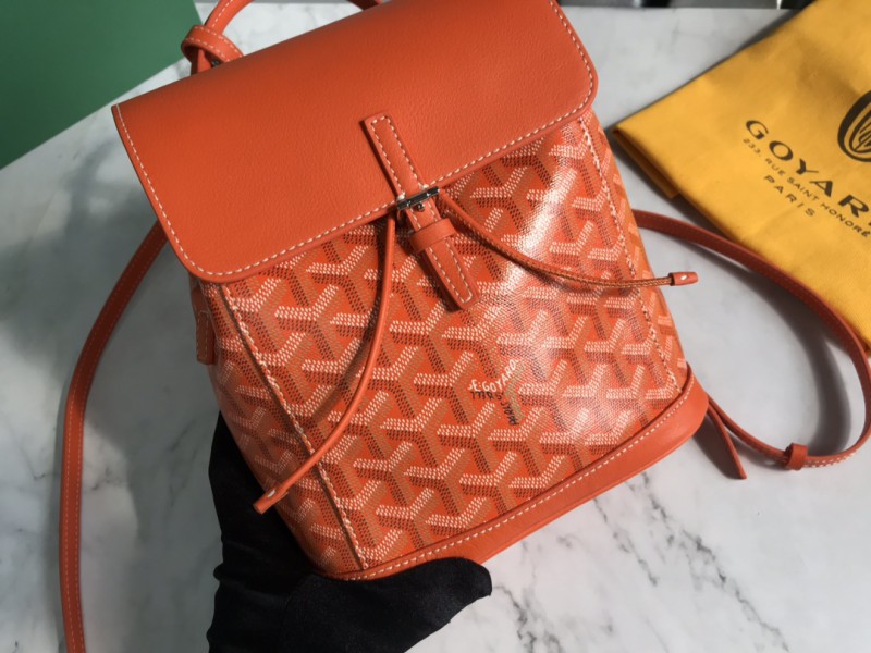 Goyard 096 4