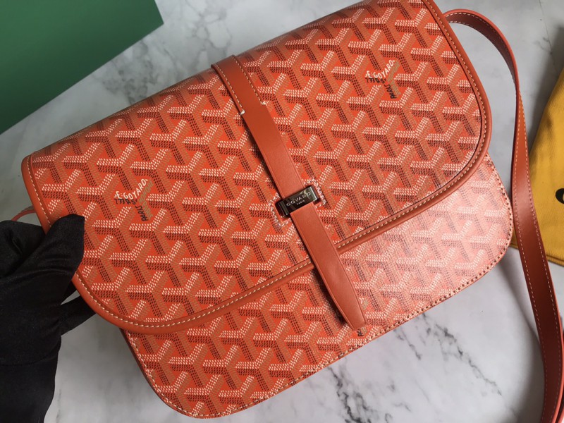 Goyard 119 4