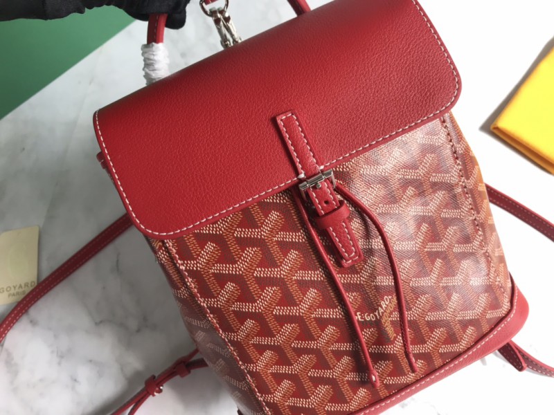 Goyard 153 4