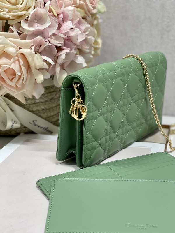 Dior 073 5