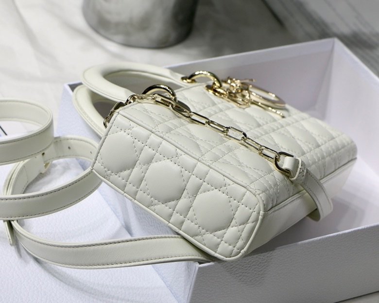 Dior 250 5