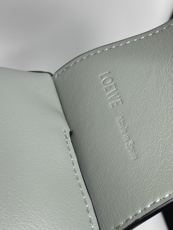 Loewe 209 5