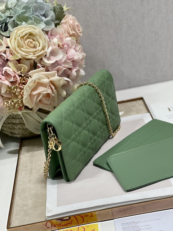 Dior 073 6