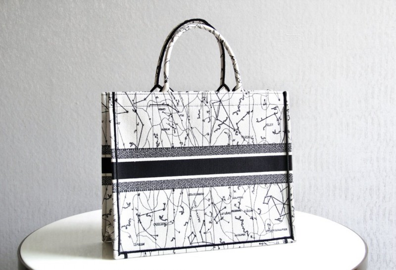 Dior 213 6