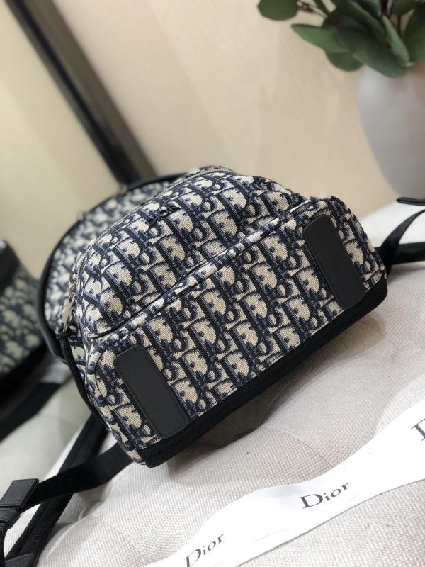 Dior 231 6