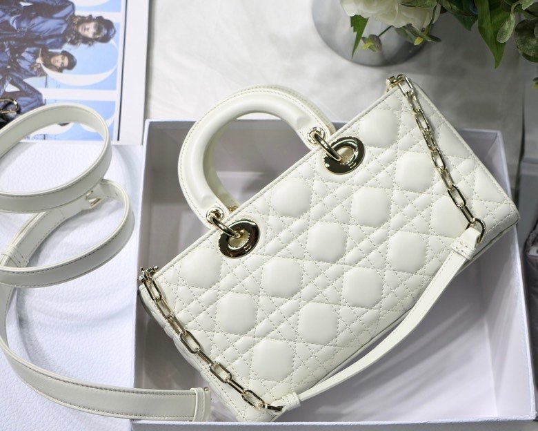 Dior 250 6
