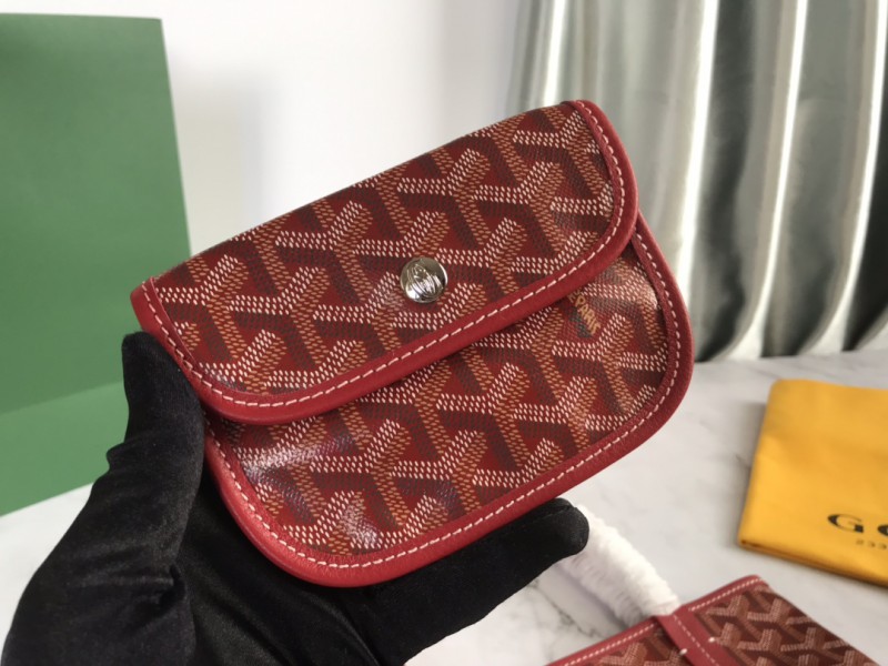 Goyard 029 6