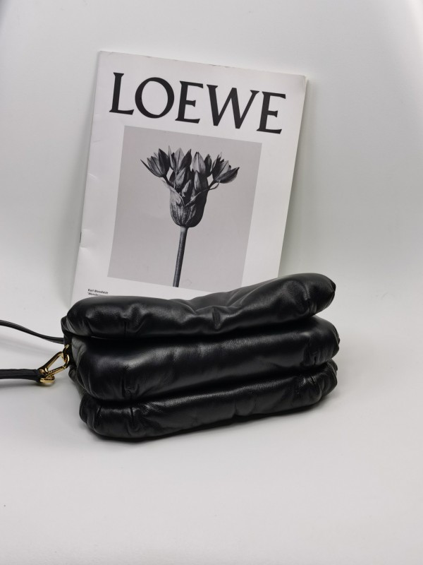 Loewe 169 6