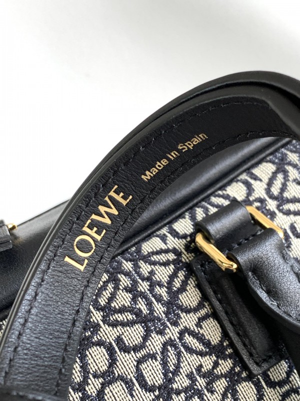Loewe 259 6
