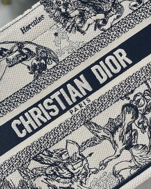 Dior 181 7