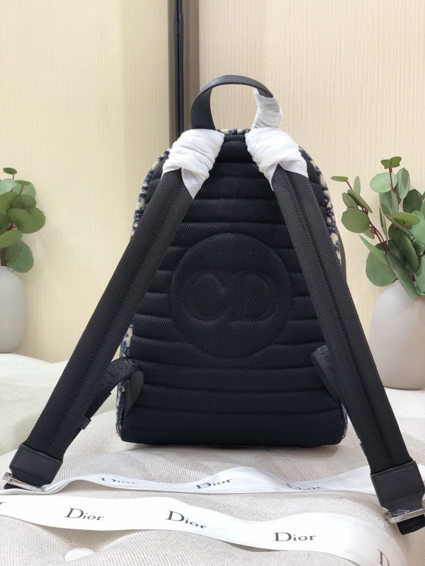 Dior 231 8