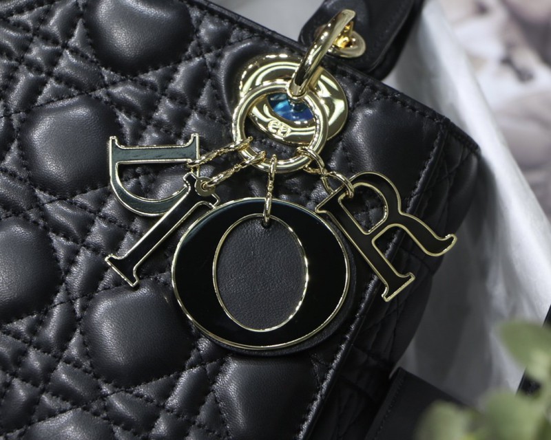 Dior 256 8