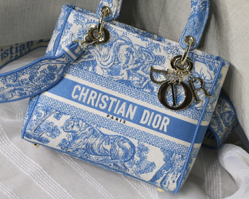 Dior 260 8