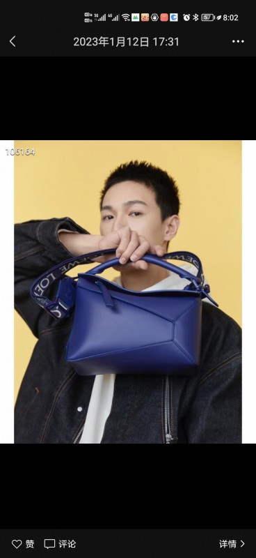 Loewe 262 8