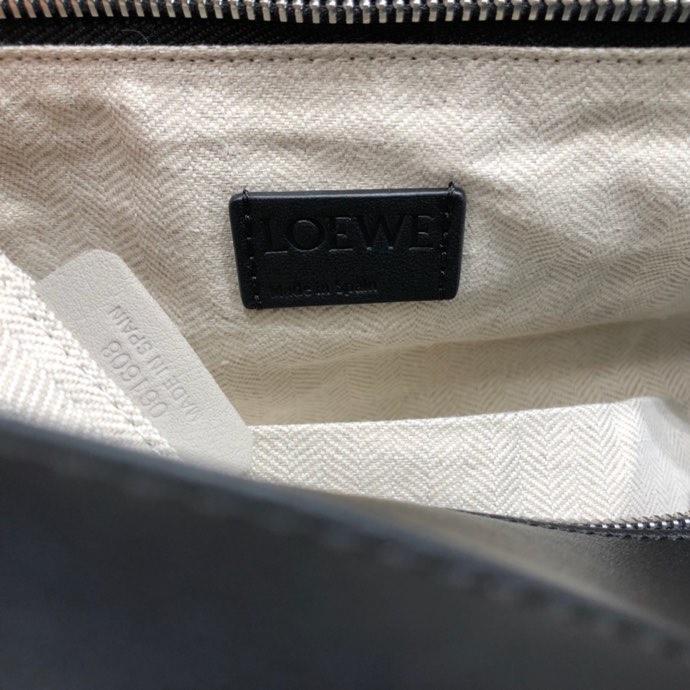 Loewe 273 8