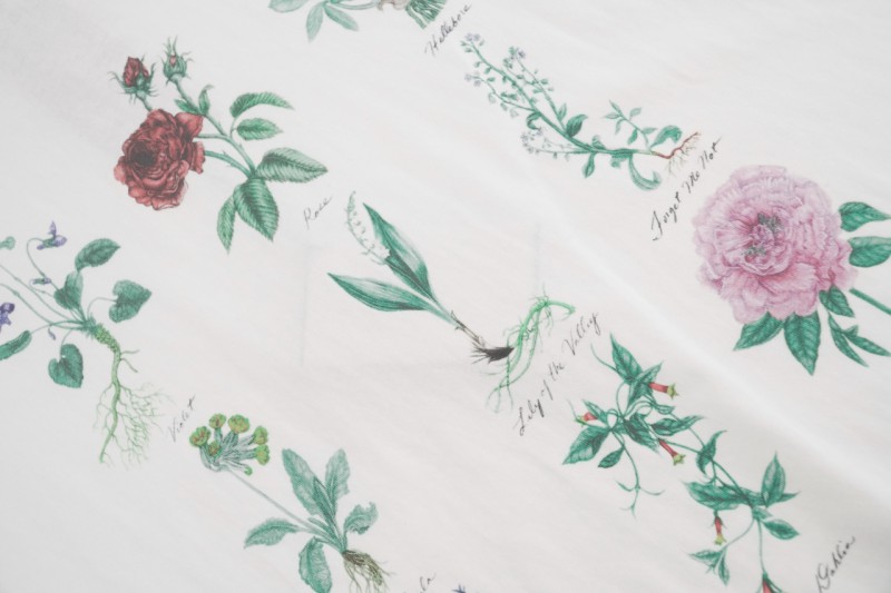 Dior Botanical Specimen Print T-Shirt 4