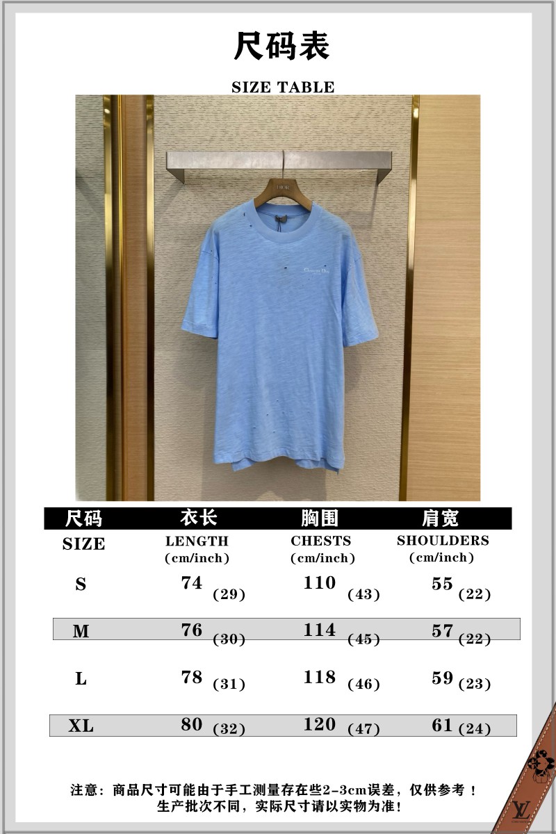 Dior Blur Letters Print Short Sleeve T-Shirt 9
